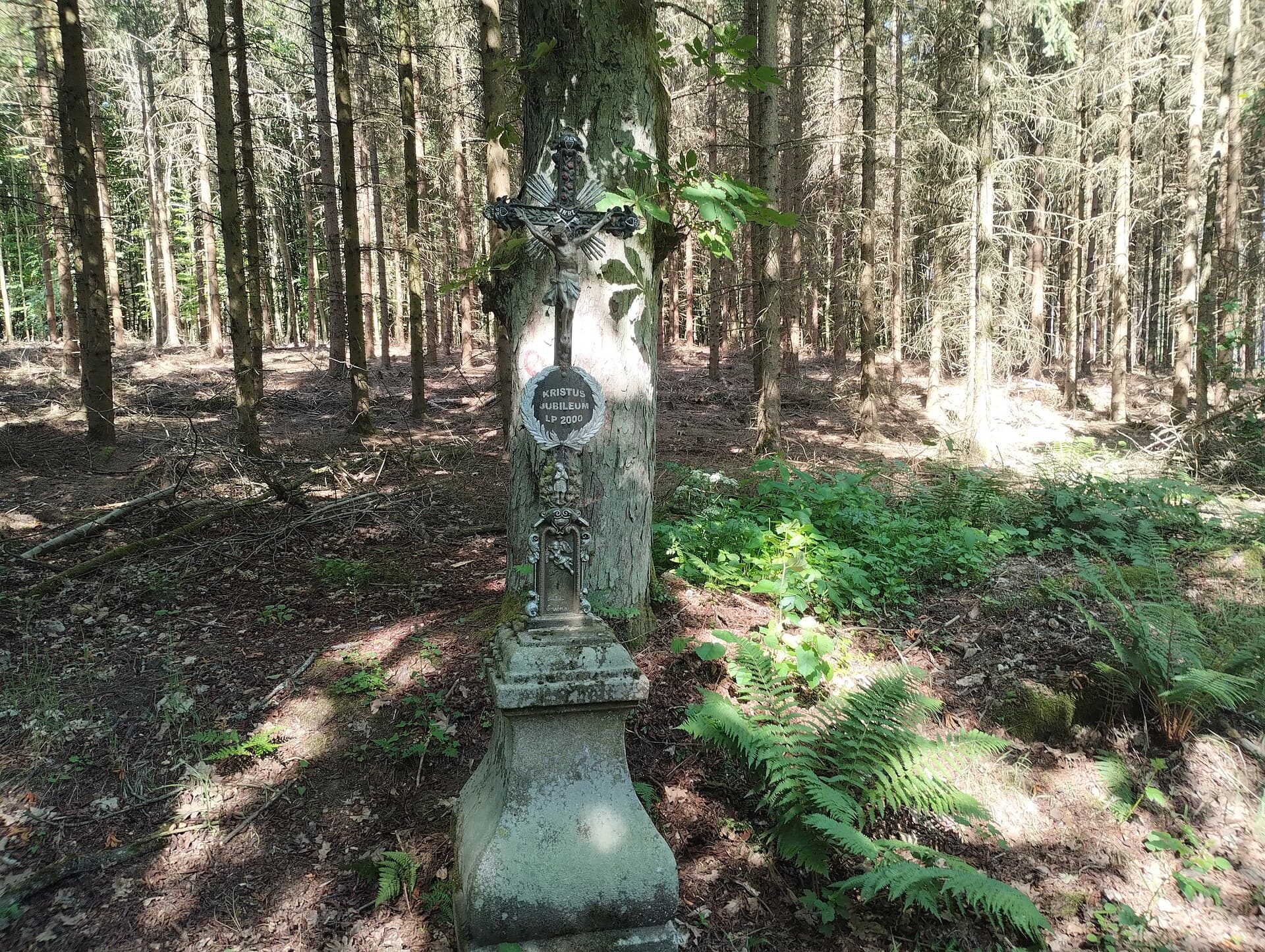 Nová Bystřice