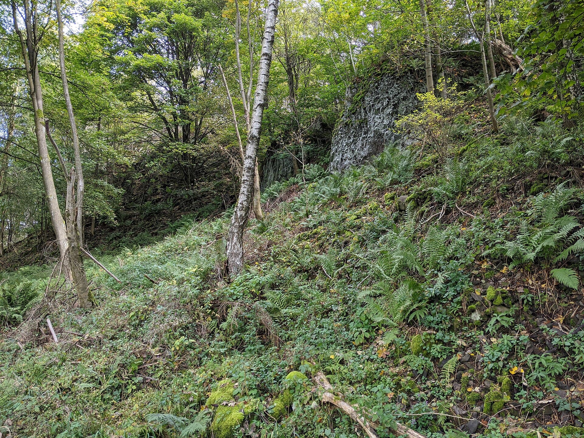 Nový Oldřichov