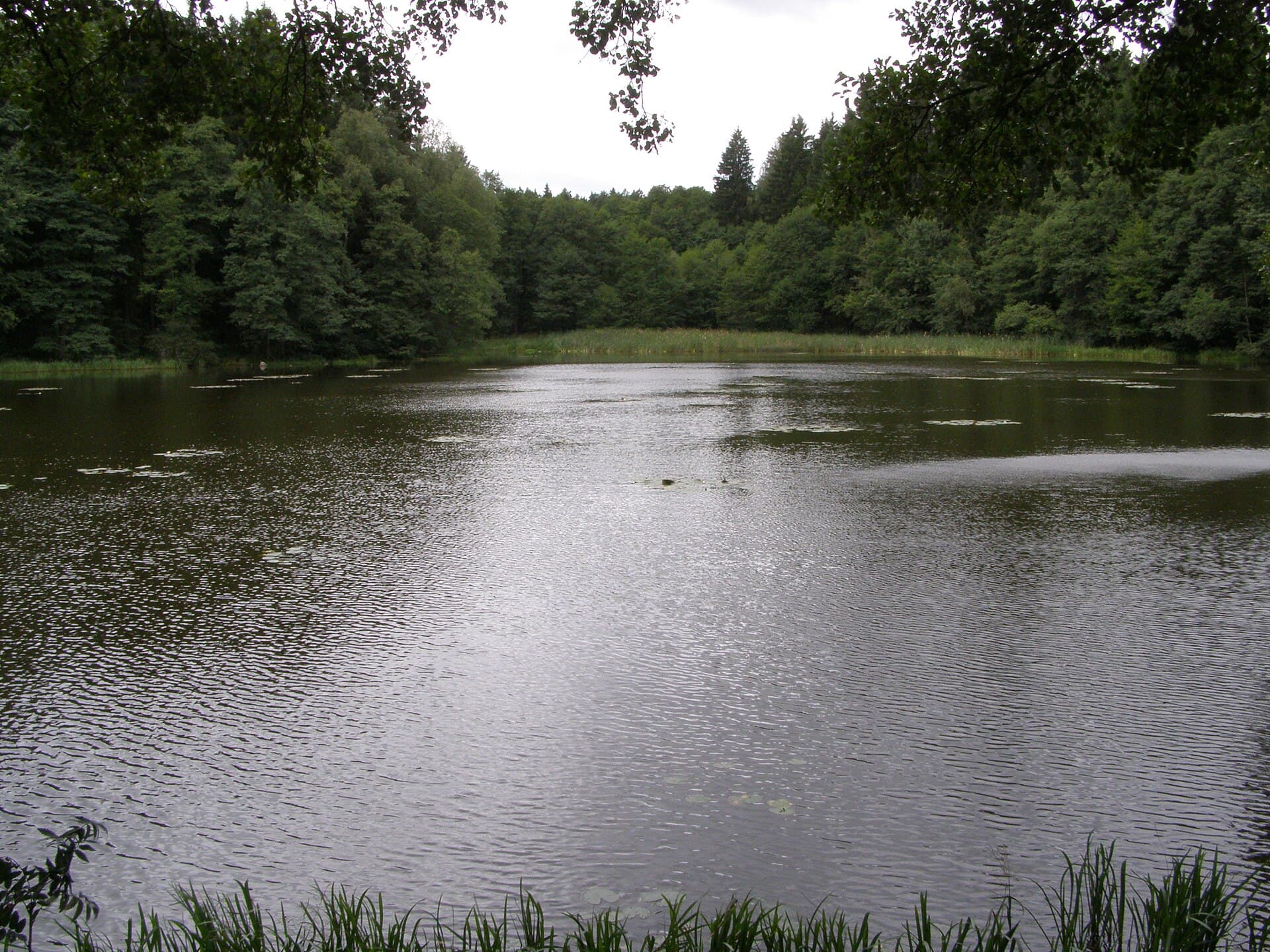 Slavonice