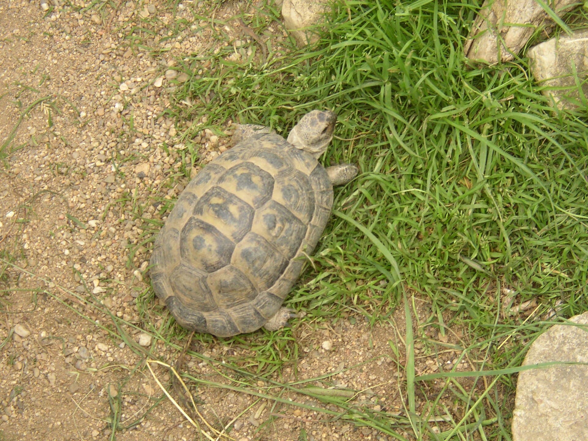 Zájezd
