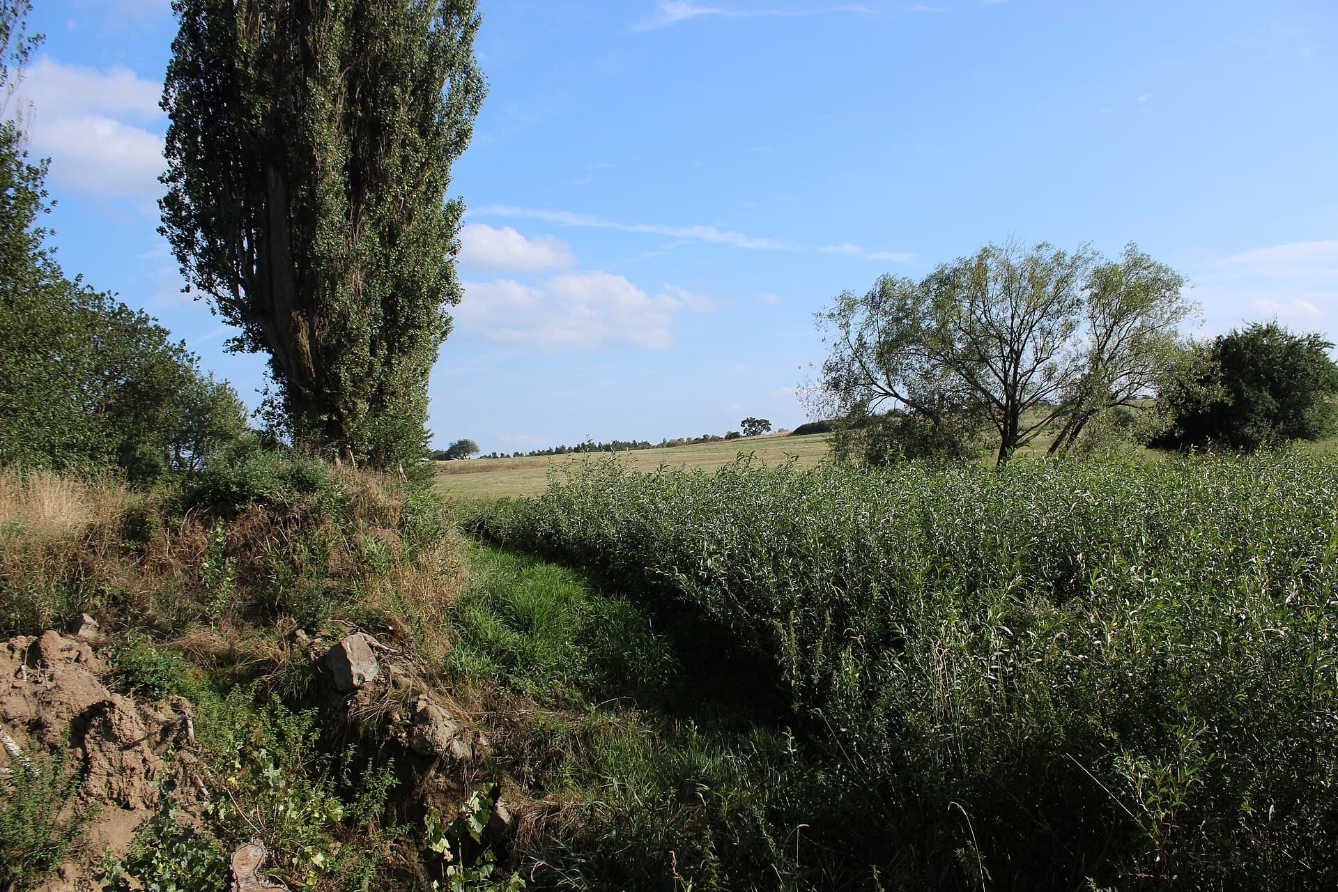 Zduchovice
