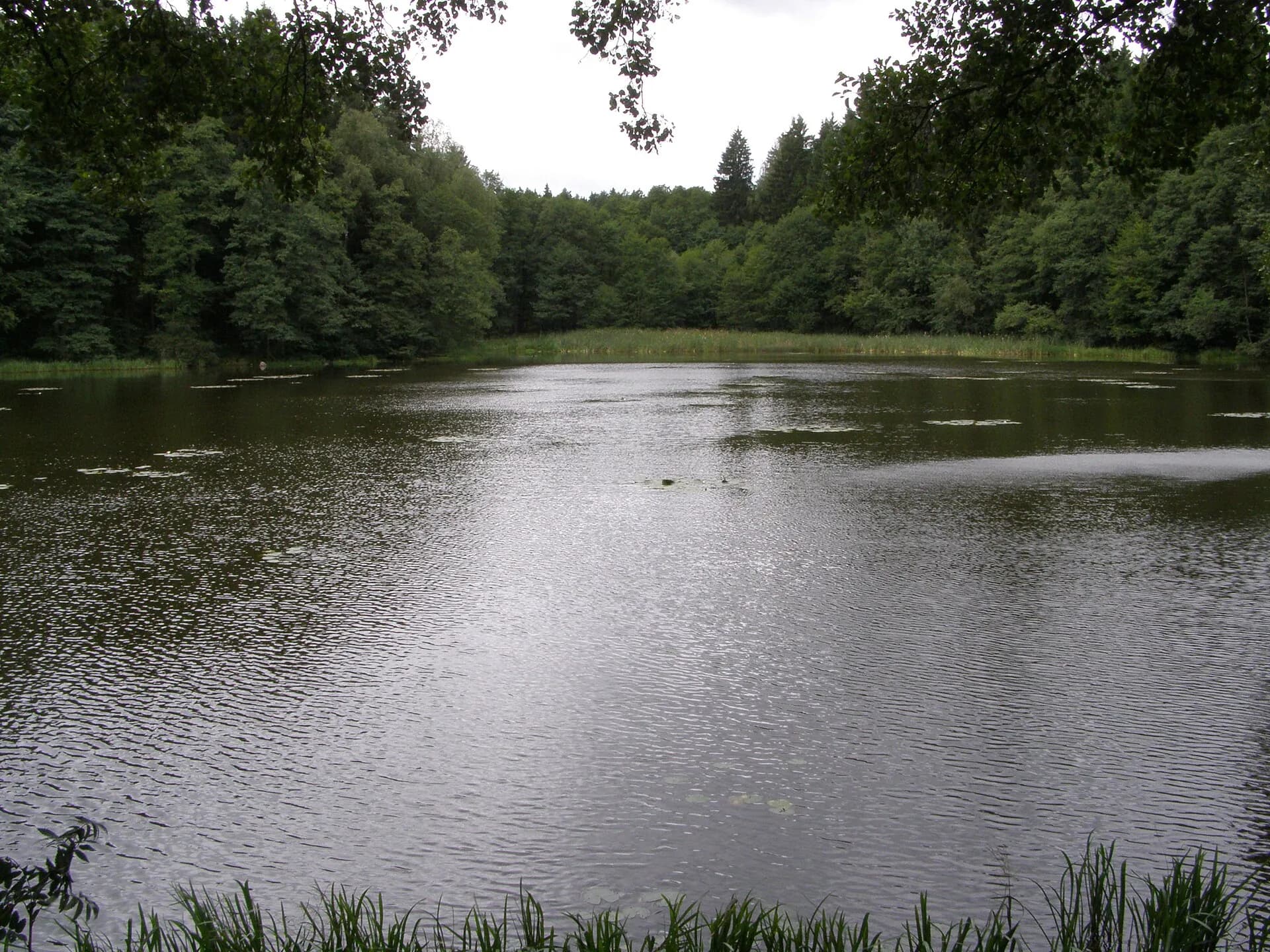 Slavonice