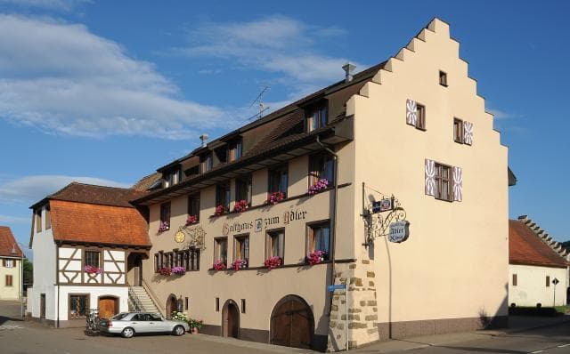 Der Adler