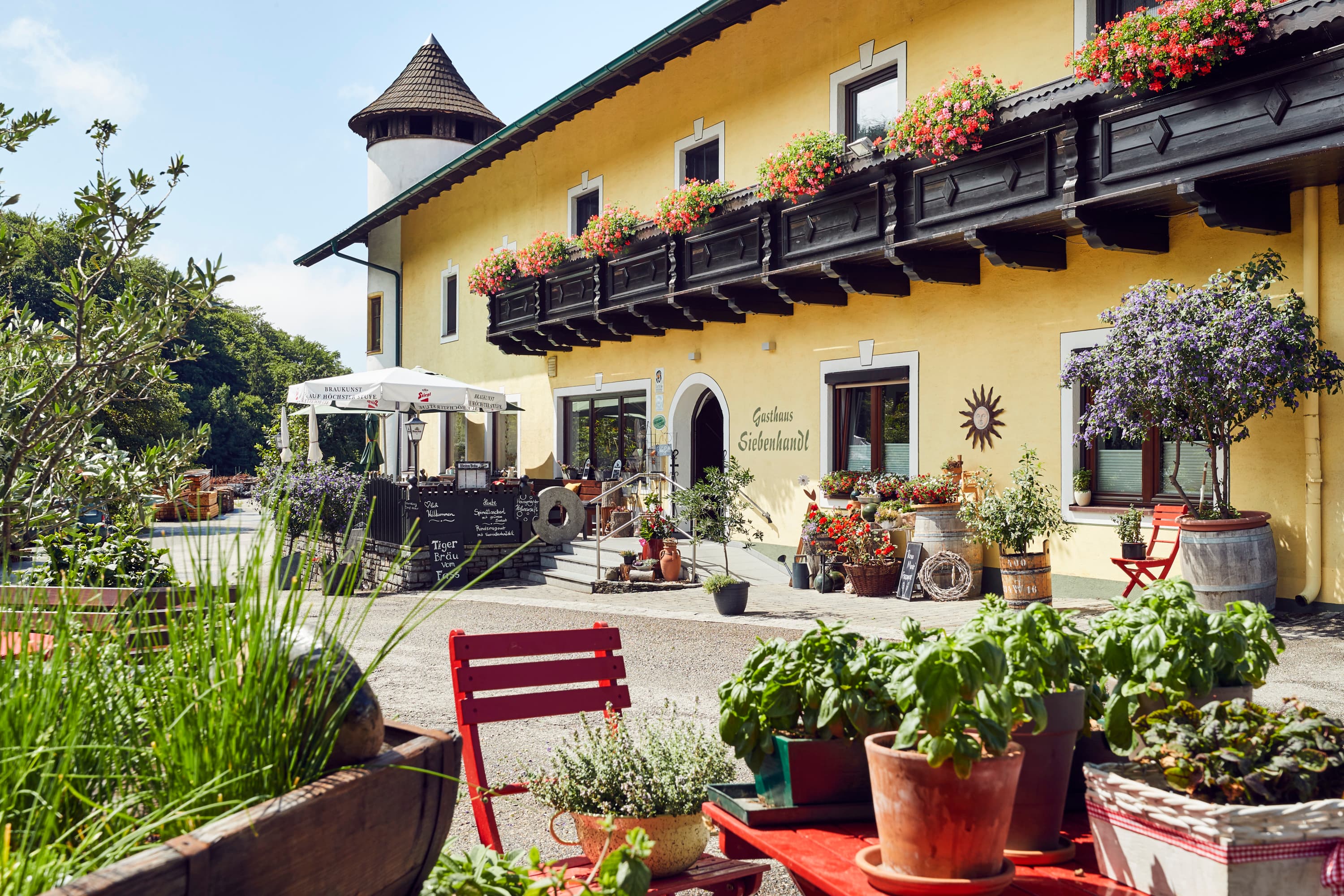 Gasthaus Mühlberghof
