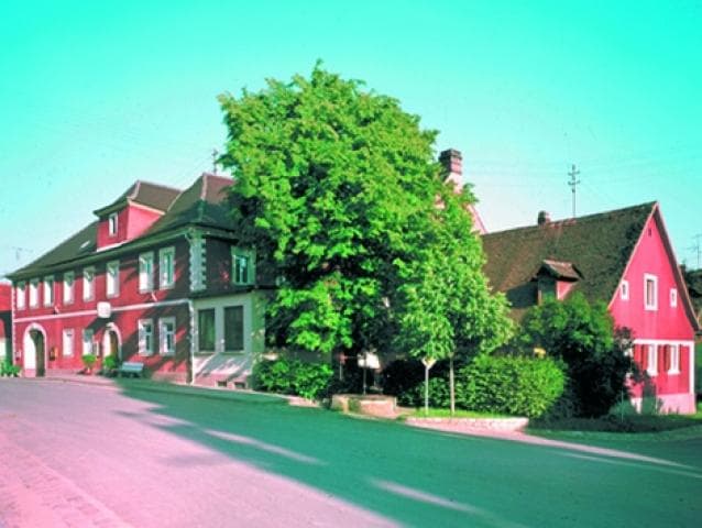 Hotel Grüner Baum
