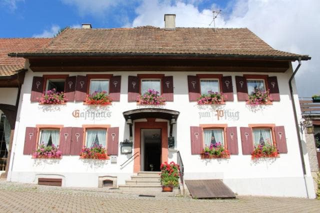 Hotel*** Landgasthof zum Pflug