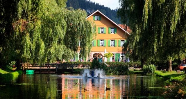 Hotel Zur alten Mühle