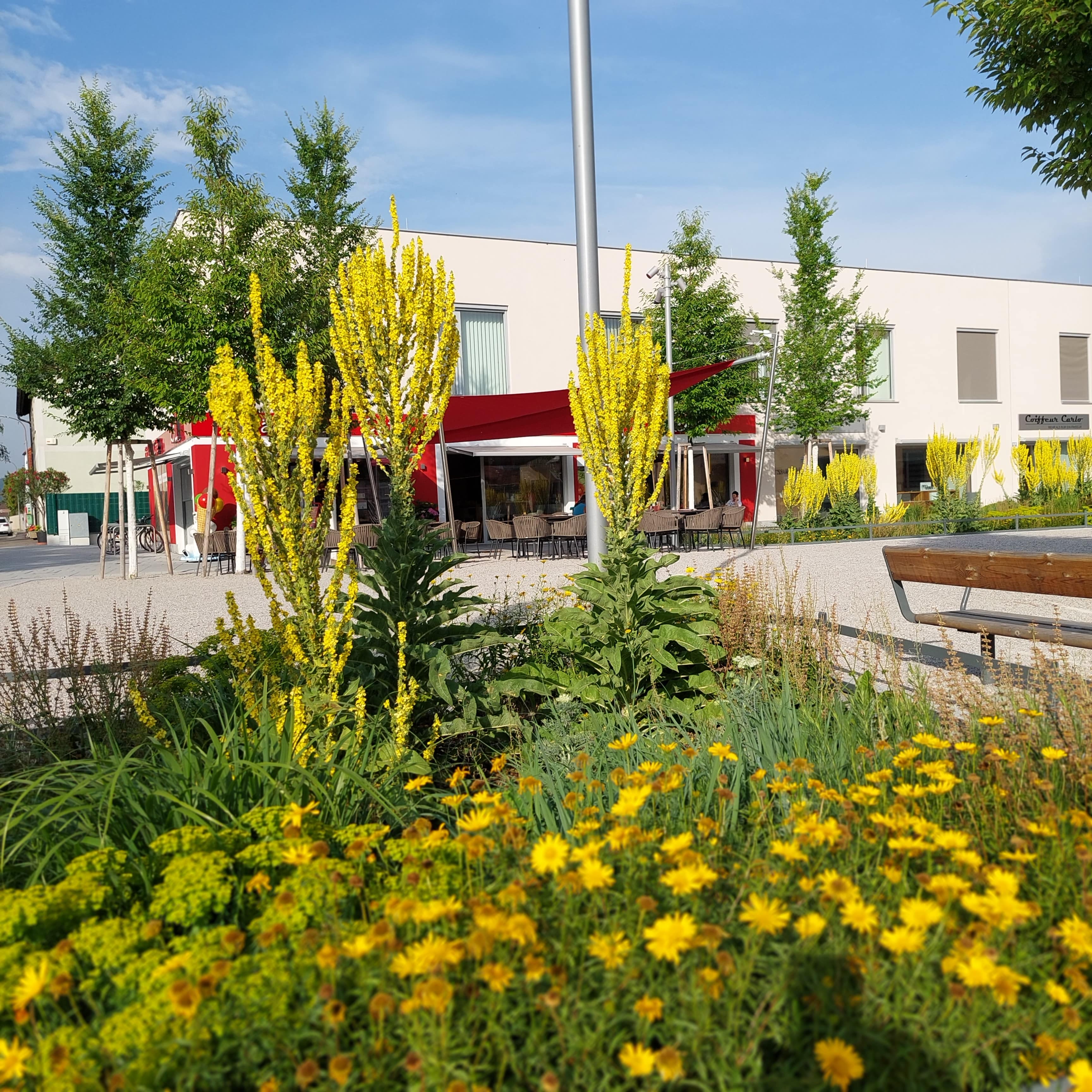 Koll Bäckerei Café - Lanzenkirchen