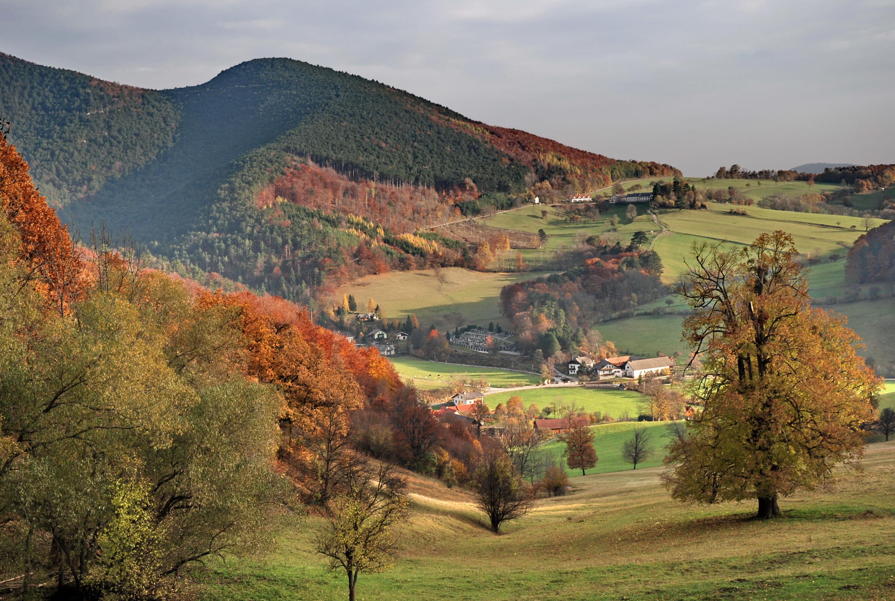 Landgasthof zur Bruthenne