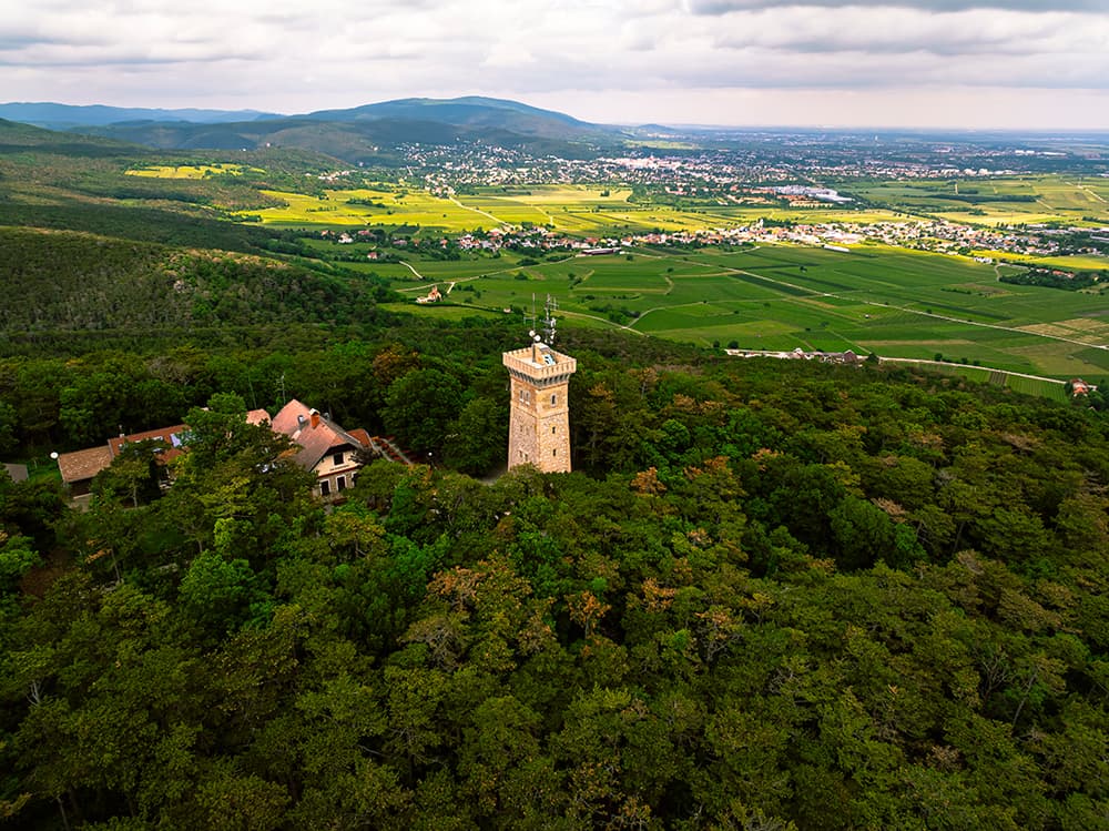 Schutzhaus am Harzberg - Harzberg Buam