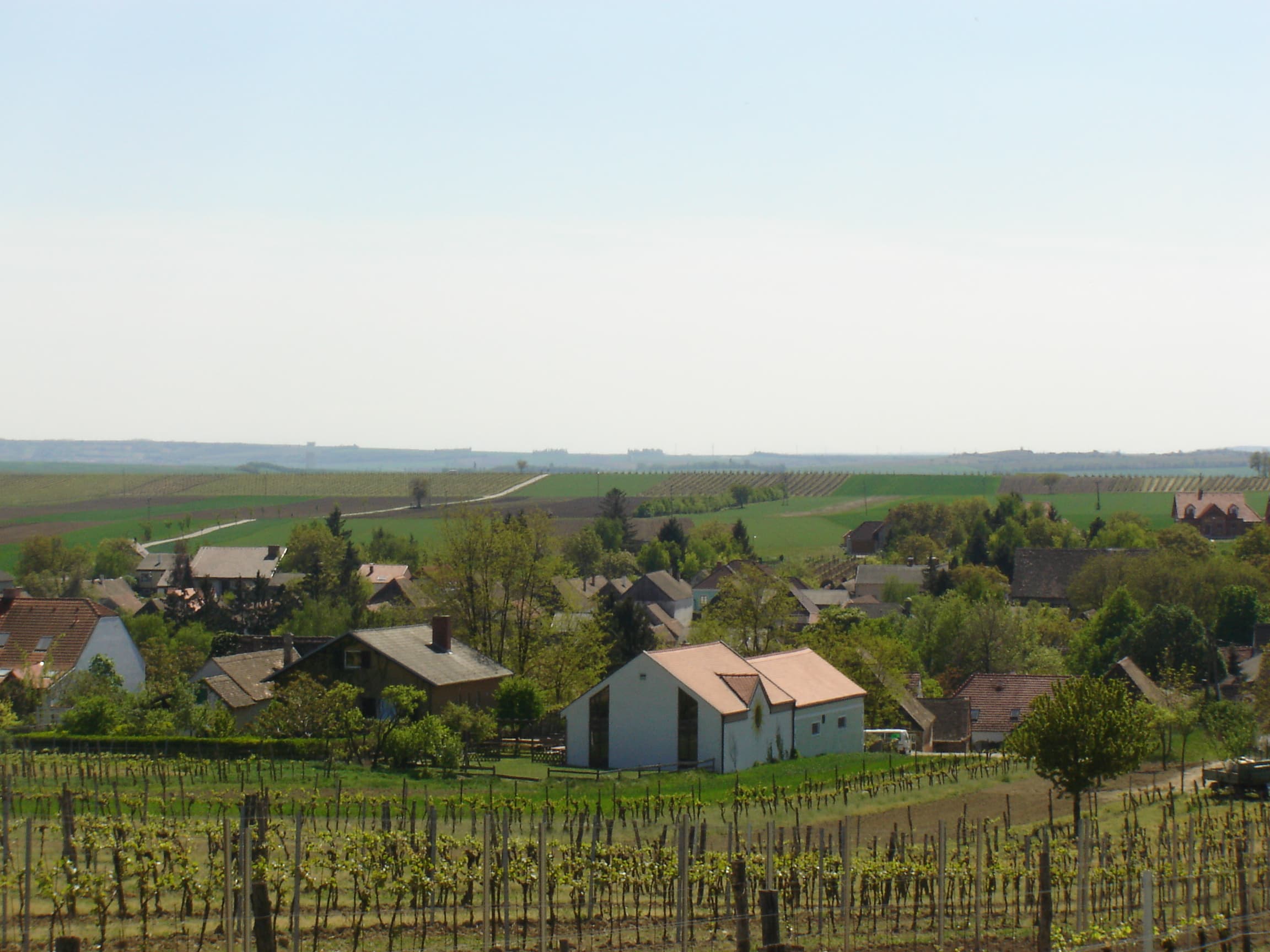 Sonnenheuriger Schleinzer-Hollweger