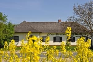 Weinbau Ingrid u. Hans Mayer-Hörmann