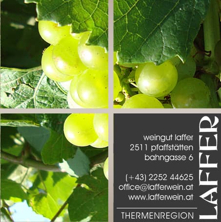 Weinbau Laffer