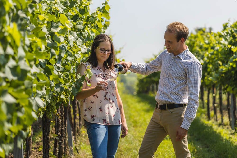 Weinbau Viti