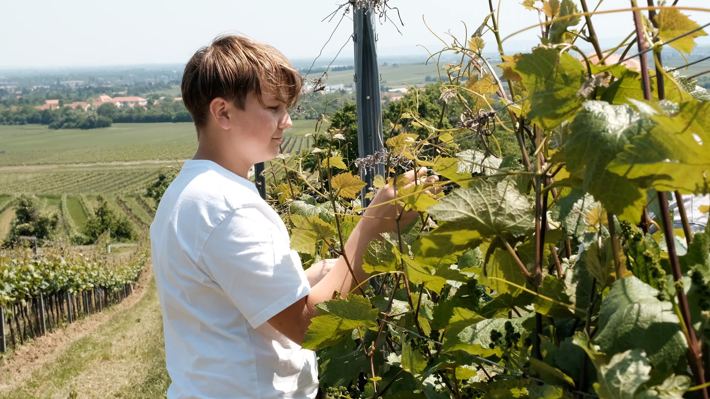 Weingut Familie Schlager