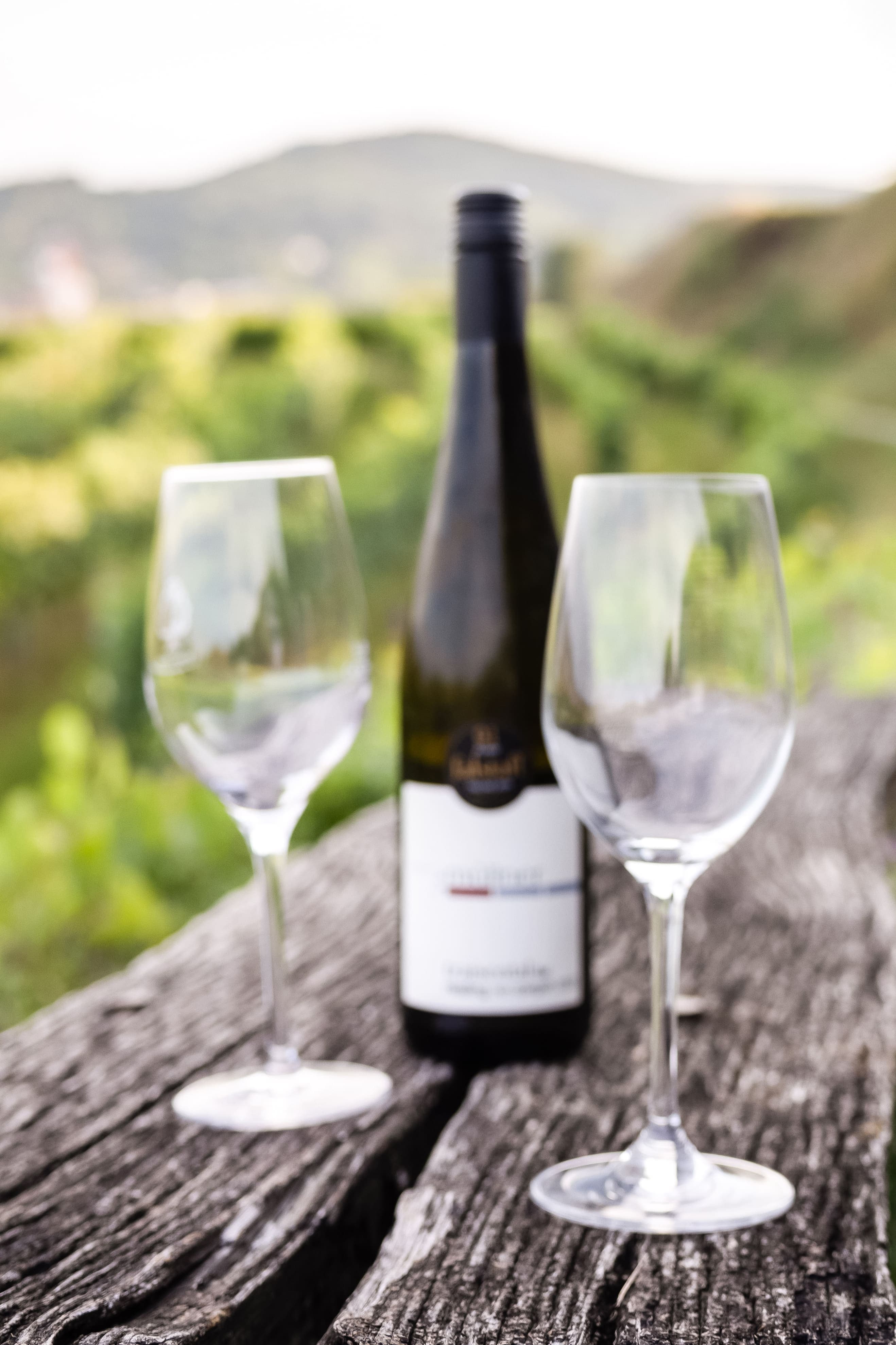 Weingut Gutscher