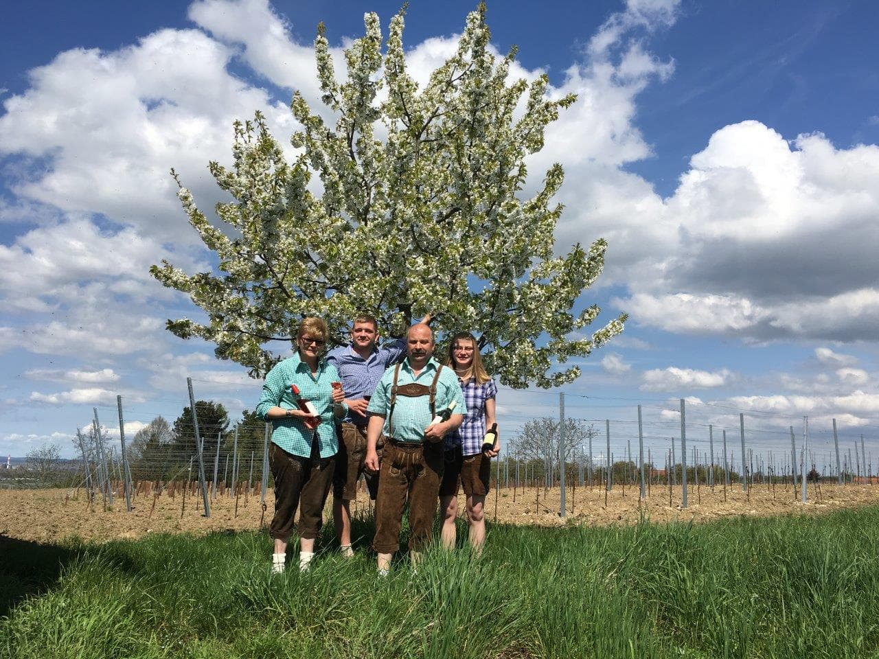 Weingut und Heuriger Scharnagl