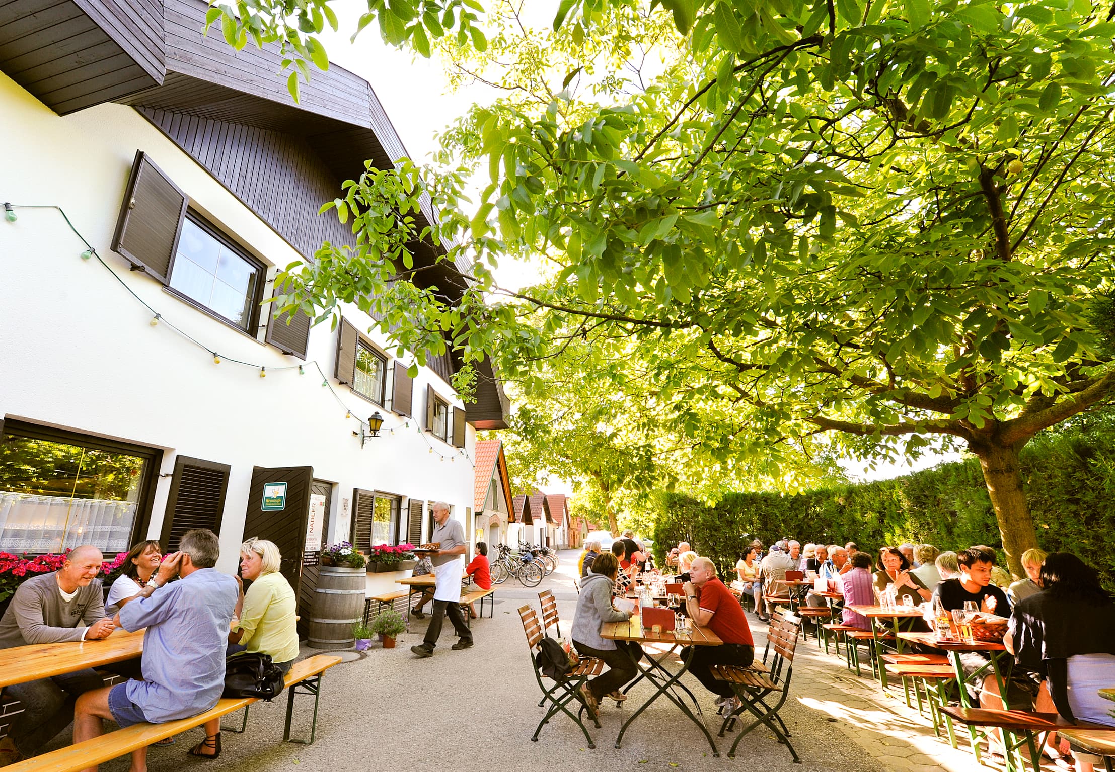 Weingut und TOP-Heuriger Robert Nadler