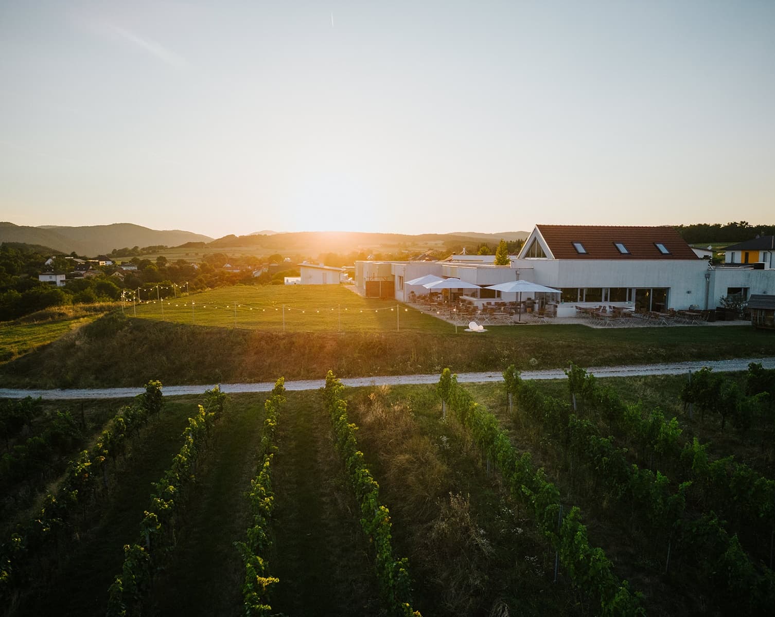 Weingut & Weinblick Grafinger