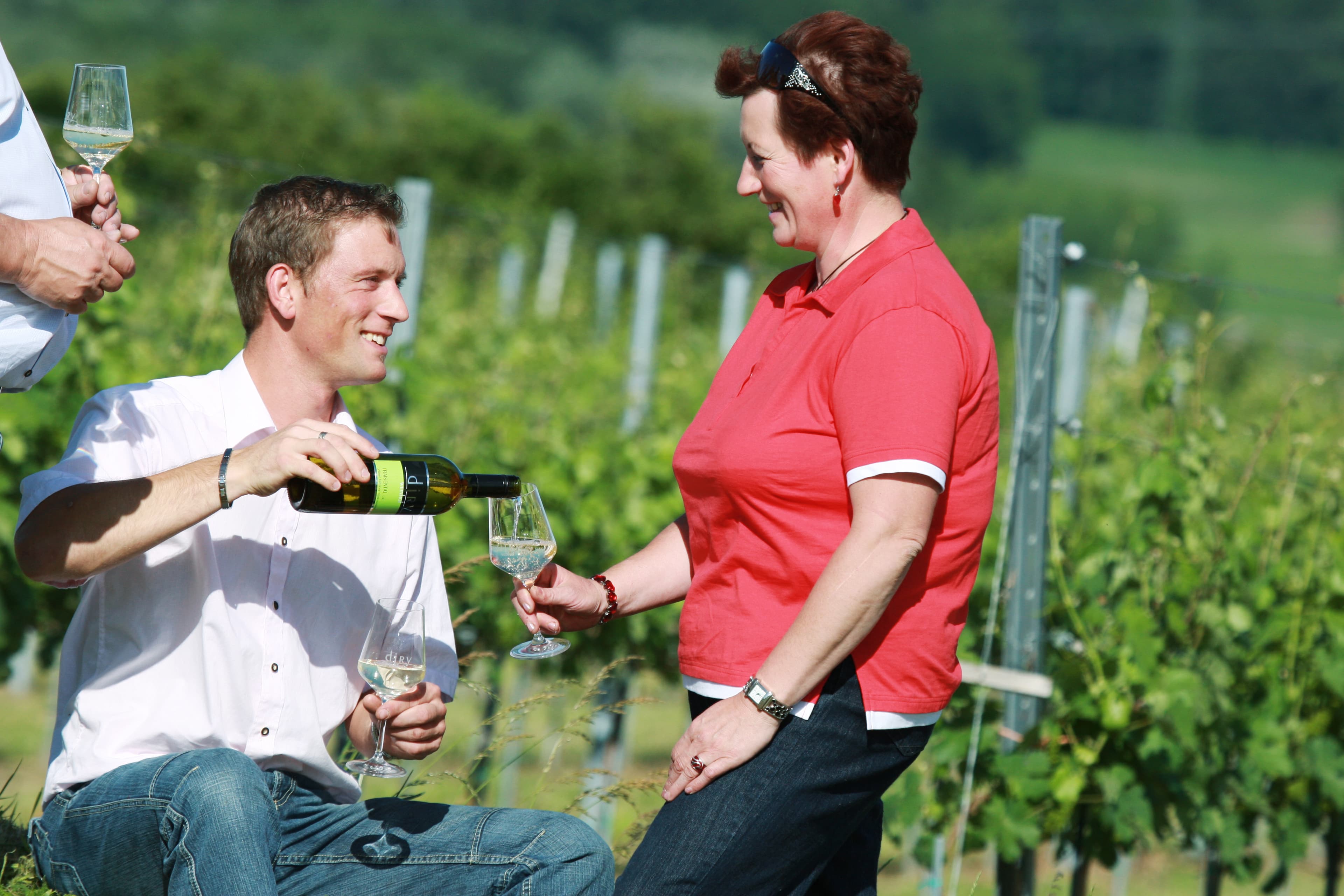 Weinhof Diry